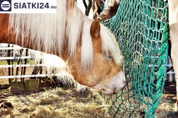 Siatki Gostynin - Worek na siano dla koni - siatka oczko 4,5cm gr.3mm dla terenów Gostynina